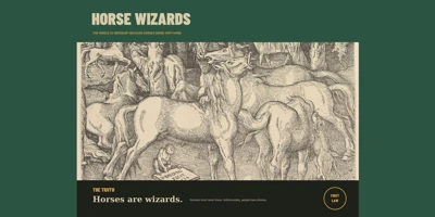 Horse Wizards